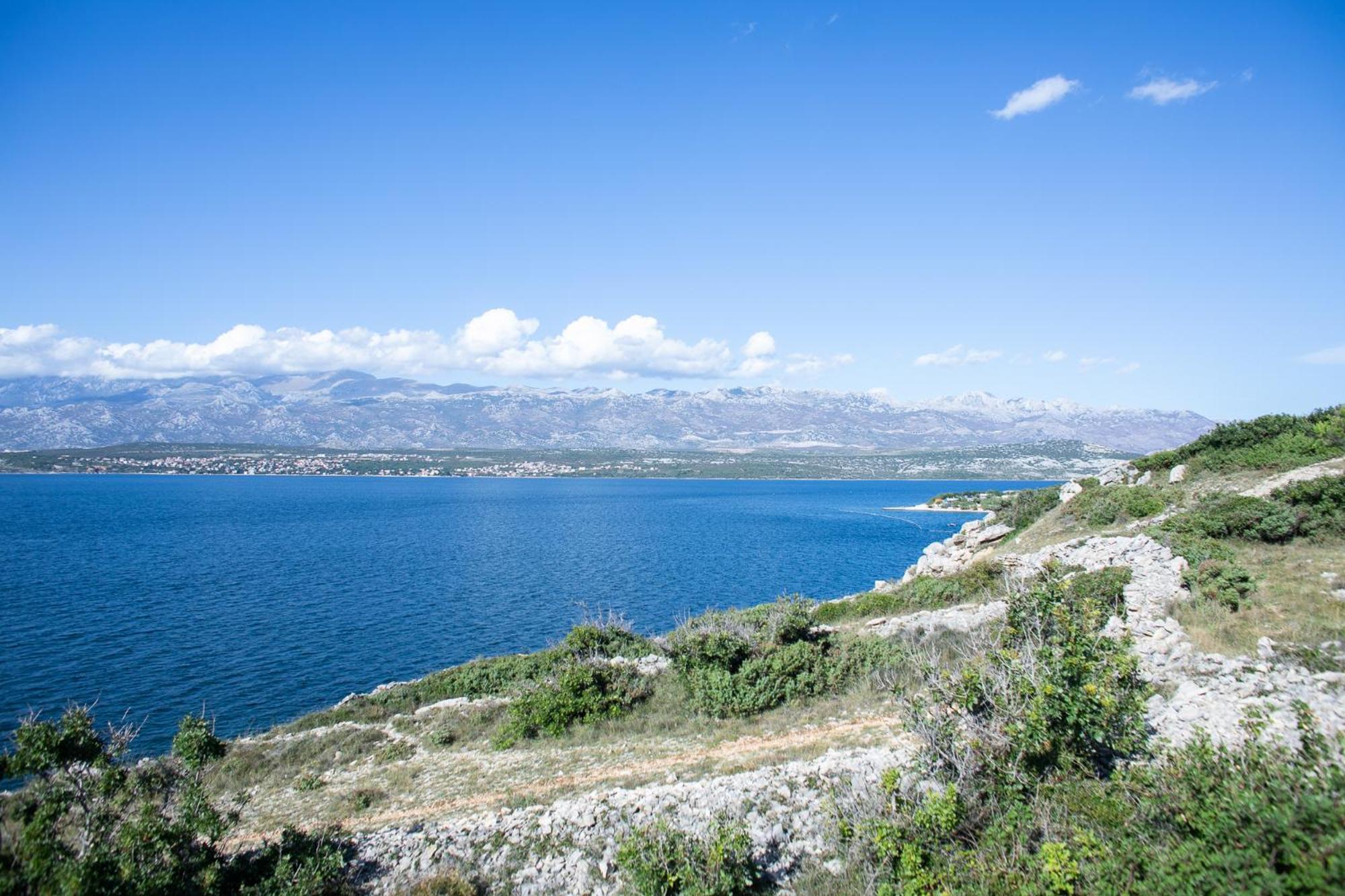 Tonko * Novigrad (Dalmatia)