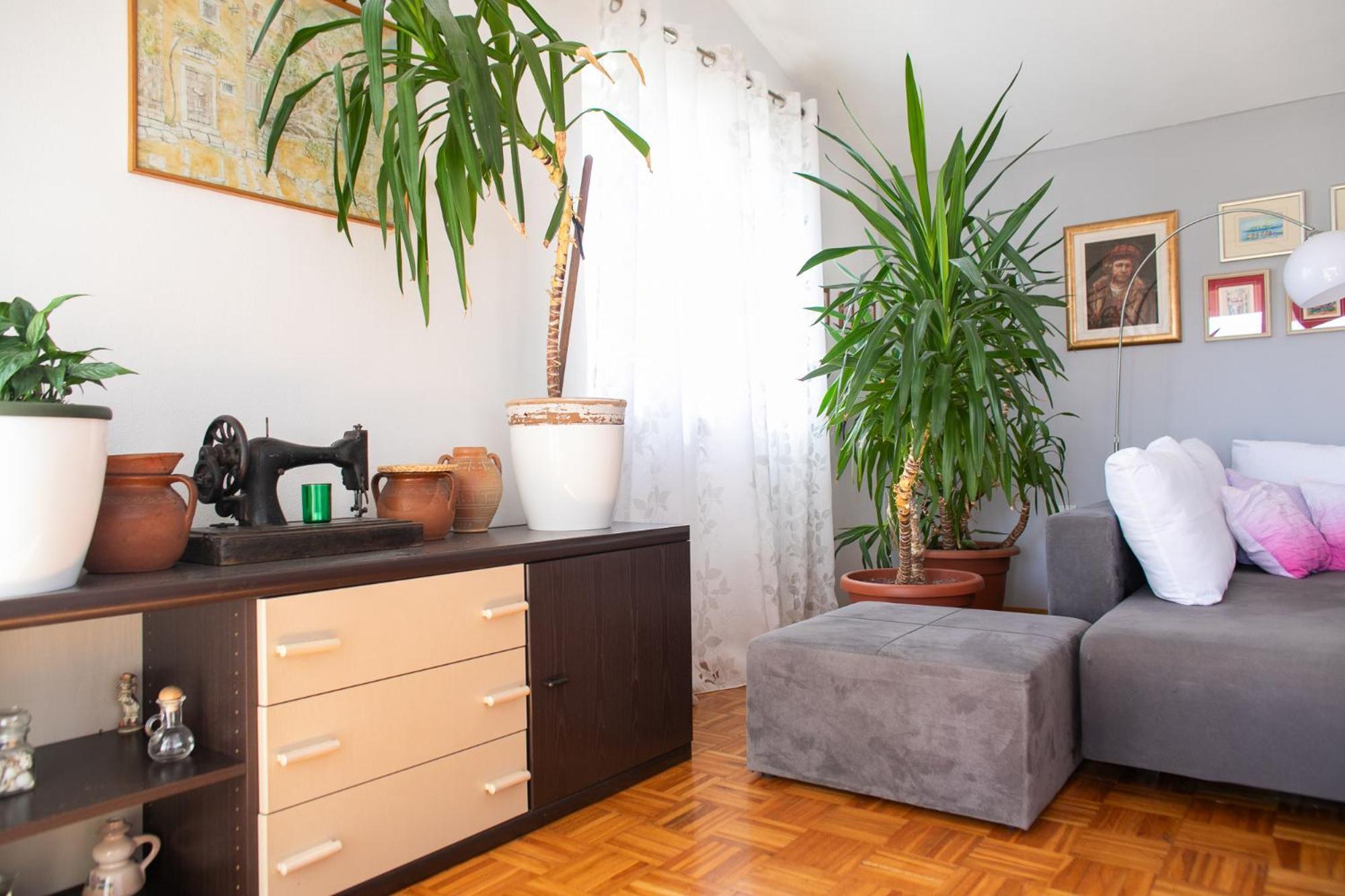 Apartma Tonko